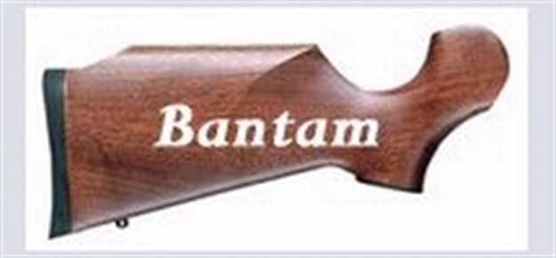 Picture of Thompson Center Encor Rfl Buttstk Yth