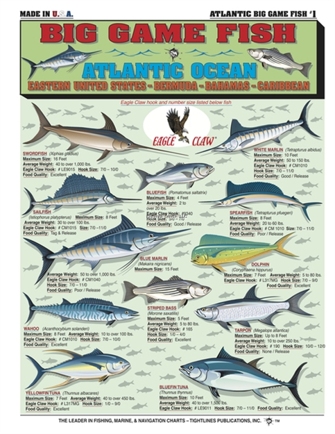 Picture of Tightlines Big Game Fish Chart #1 Atlantic Ocean
