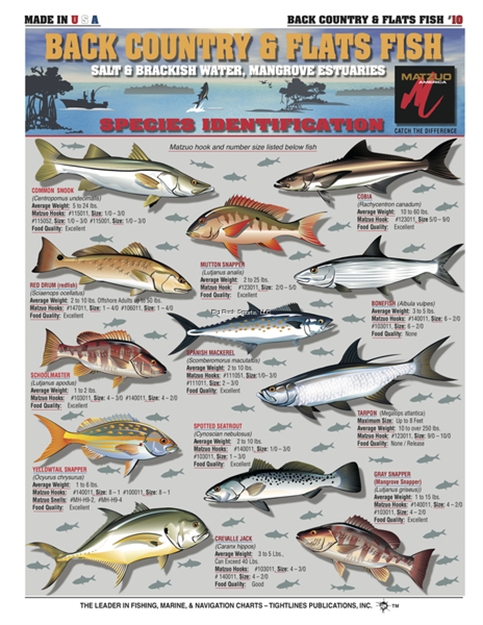 Picture of Tightlines Fish ID Chart #10 Back Country & Flats Fish