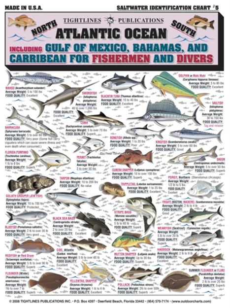 Picture of Tightlines Fish ID Chart #5 SW North & South Atlantic Ocean