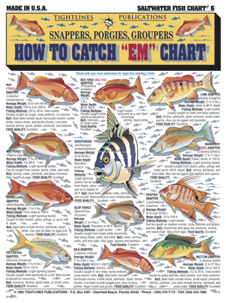 Picture of Tightlines How TO Catch EM Chart #6 Snapper/Porgy/Grouper