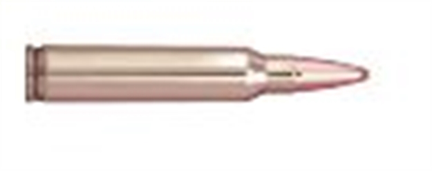 Picture of  Ppu Ppm2232 Match  223Rem 75Gr Hollow Point Boat Tail 20 Per Box/50 Case