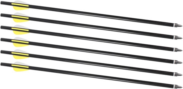 Picture of Traditions Arrows 16" 6-Pack For Xbr Arrow Launcher A2217