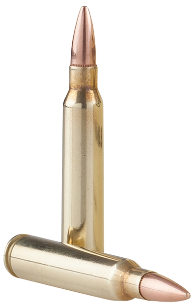 Picture of  Tr&Z Pprm5561p  Range Master 5.56X45mm Nato 55 GR Full Metal Jacket Boat Tail 125 Per Box/ 4 Case 8605003820635