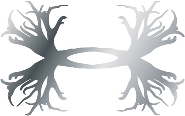 Picture of Under Armour Armour Antler Emblem Chrome/Abs 2-Pack<