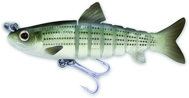 Picture of Vudu Slow Sink Mullet, 4.5", 1/2 Oz, High Definition Striped Mullet, Sinking