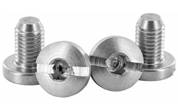 Picture of VZ 1911 Slex Screws Stainless