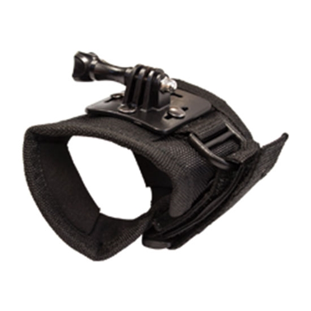 Picture of Wasp Hand Mount