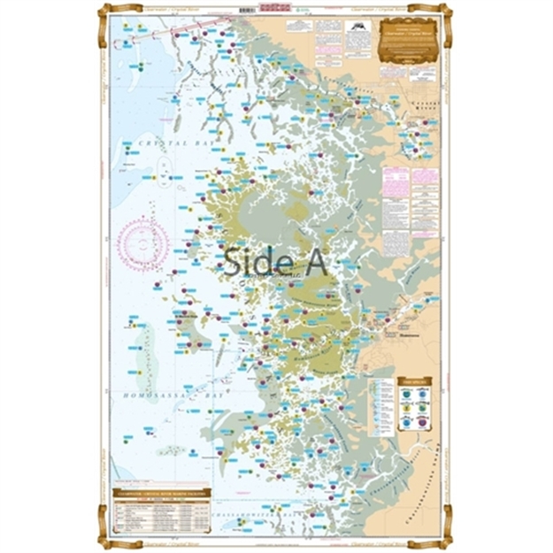 Picture of Waterproof Charts Clearwater TO Crystal River Fishing Inshore