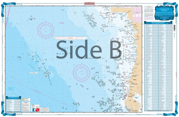 Picture of Waterproof Charts Florida Big Bend Fishing Offshore Fish & Dive