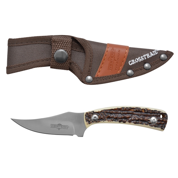 Picture of  Camillus 19161 Western Crosstrail 3.25" Fixed Plain Silver 420 Steel Titanium Bonded Blade, Stag/Antler Delrin Handle, Includes Belt Loop/Sheath 016162191616