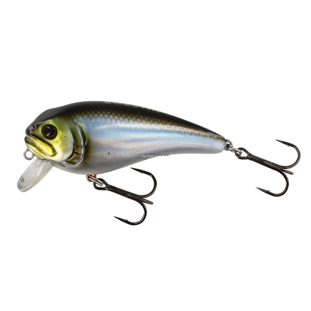 Picture of Westin Fatbite Floating Crankbait, Blueback Herring 2 1/8" 5/16 OZ