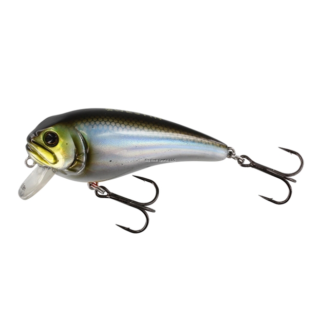 Picture of Westin Fatbite Floating Crankbait, Blueback Herring 3" 7/8 OZ
