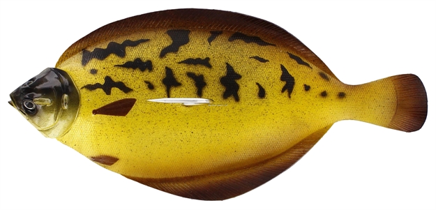 Picture of Westin Flat Matt Golden Flounder  9 5/8" 14 1/8 OZ