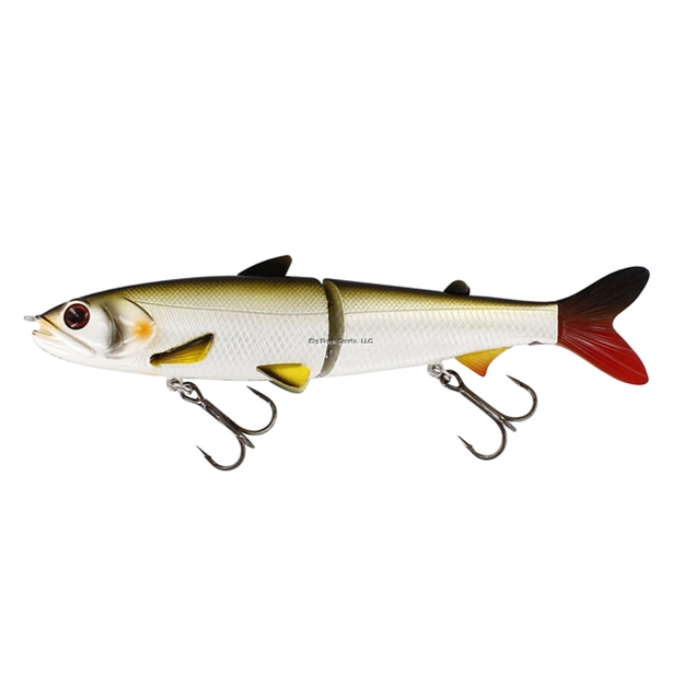 Picture of Westin Hypoteez Hl/Gb Swimbait, Lively Roach Suspending 7 1/8" 1 9/16 Oz.