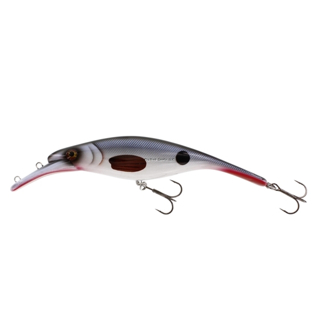 Picture of Westin Platypus Swimming Hard Lure, 8 5/8" 5 5/16 Oz. Low Floating Stamped Roach