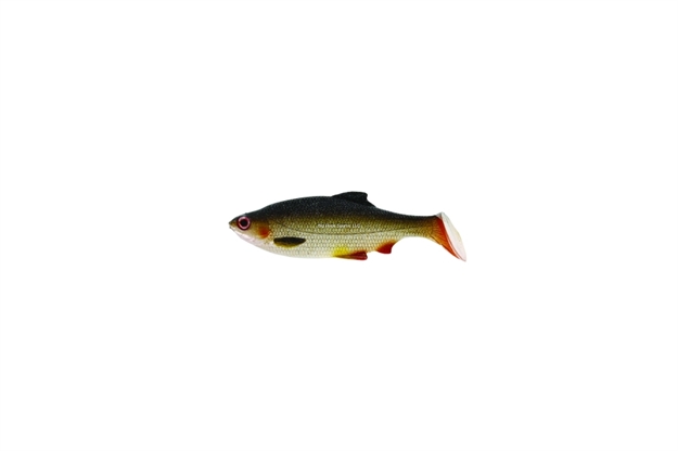 Picture of Westin Ricky The Roach Soft Shad Tail Swimbait (Sl), 2 3//4" Lively Roach, 5Pk