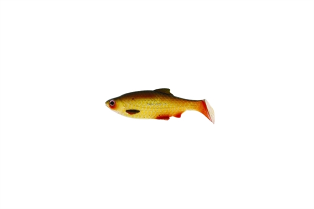 Picture of Westin Ricky The Roach Soft Shad Tail Swimbait (Sl), 2 3//4" Lively Rudd, 5Pk