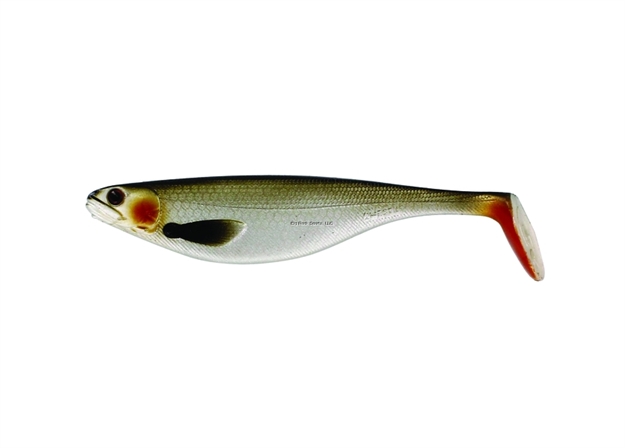 Picture of Westin Shadteez Paddle Tail Swimbait, 6.25", 1-3/8Oz. Lively Roach 1Pc