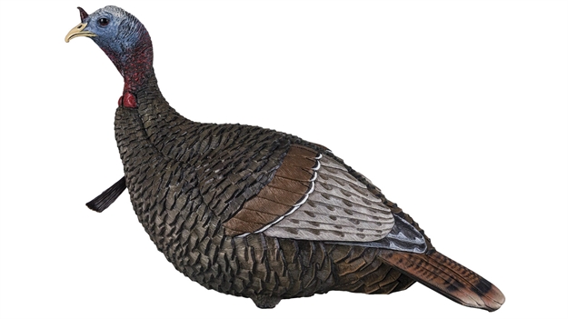 Picture of Flextone Calls Thunder Chick Turkey Decoy, Upright Hen FG-DCOY-00315