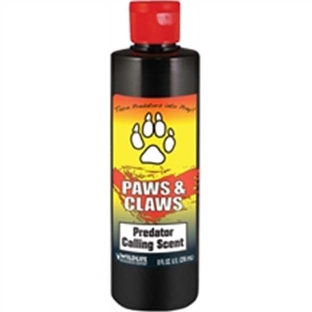 Picture of Wildlife Research Paws & Claws Predator