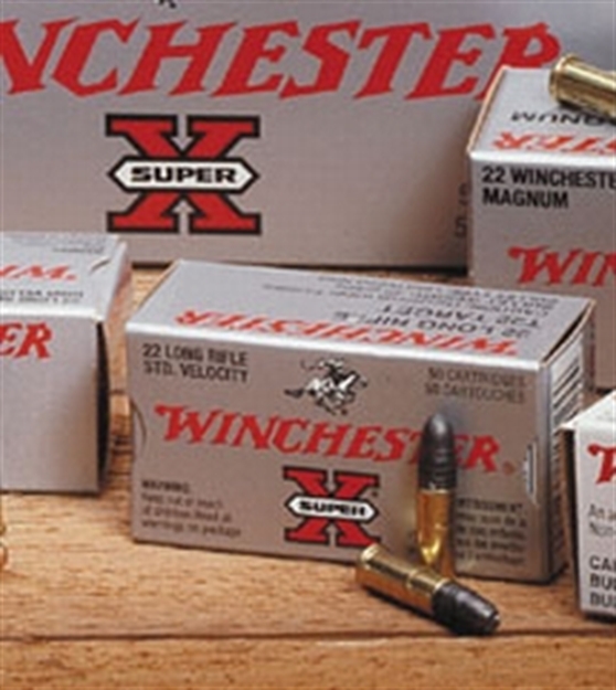 Picture of Winchester 22S 29Gr Lrn Sup-X