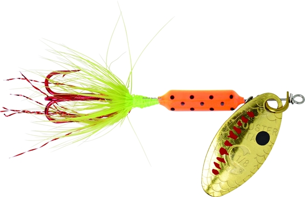 Picture of Wordens Rooster Tail In-Line Spinner, 2 1/4", 1/8 Oz, Treble Hook, Firetiger With Red Hook