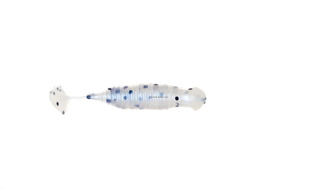 Picture of X Zone Lures 1.75" Paddle Tail, 342, Blue Pearl Pepper