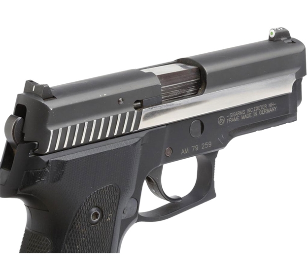 Picture of XS Dxw Big Dot Sig 225-229/320/Xd