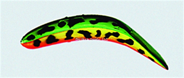 Picture of Yakima Bait Flatfish Wiggling Plug, #F-7, 2-1/4", Treble Hooks, Firetiger, Floating
