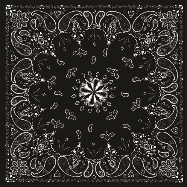 Picture of Zanheadhear Cotton Bandanna - Black Paisley