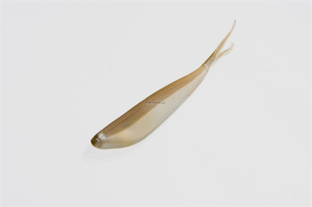 Picture of Zoom Bait Tiny Fluke , 3", 20Pk, Arkansas Shiner