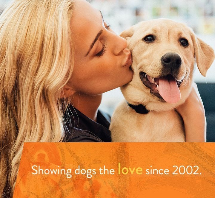 Dog Daycare, Dog Boarding, Grooming and Spa Dogtopia