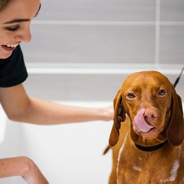 Girl bathing dog at Dogtopia full-service dog spa