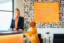 Welcoming dogs to Dogtopia