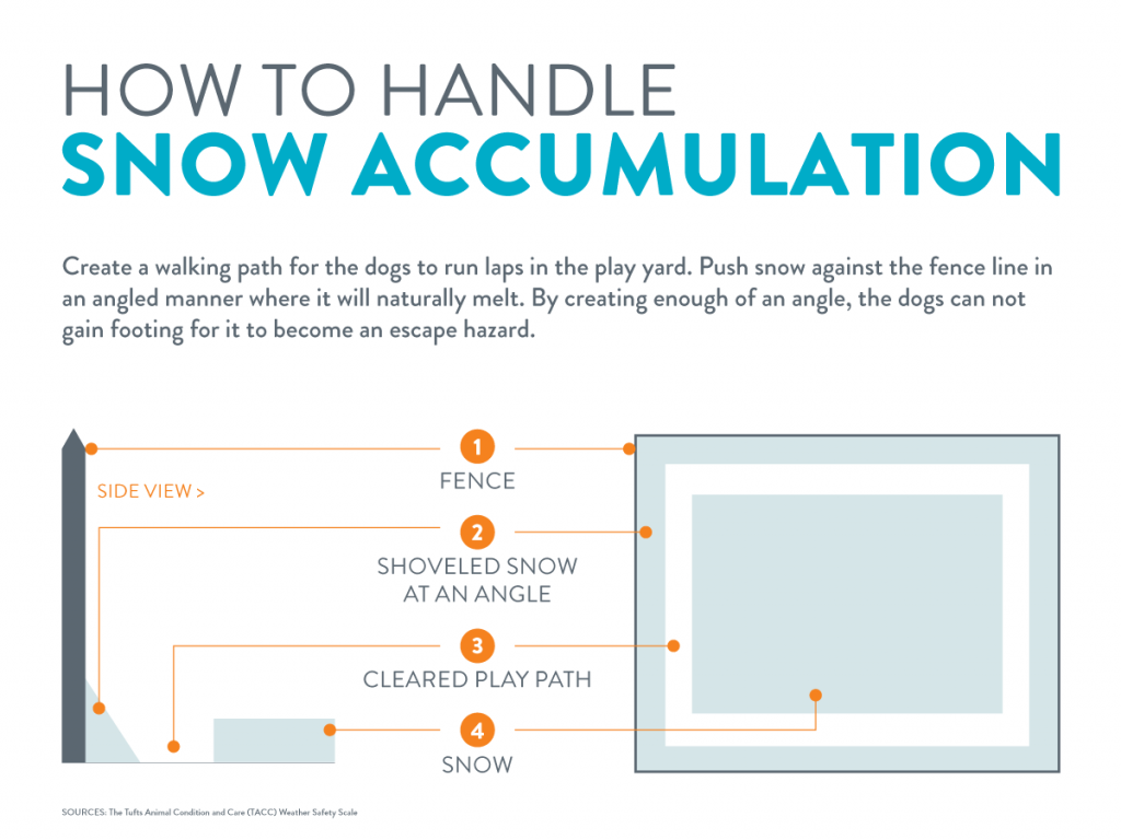 dog-too-cold-infographic-2