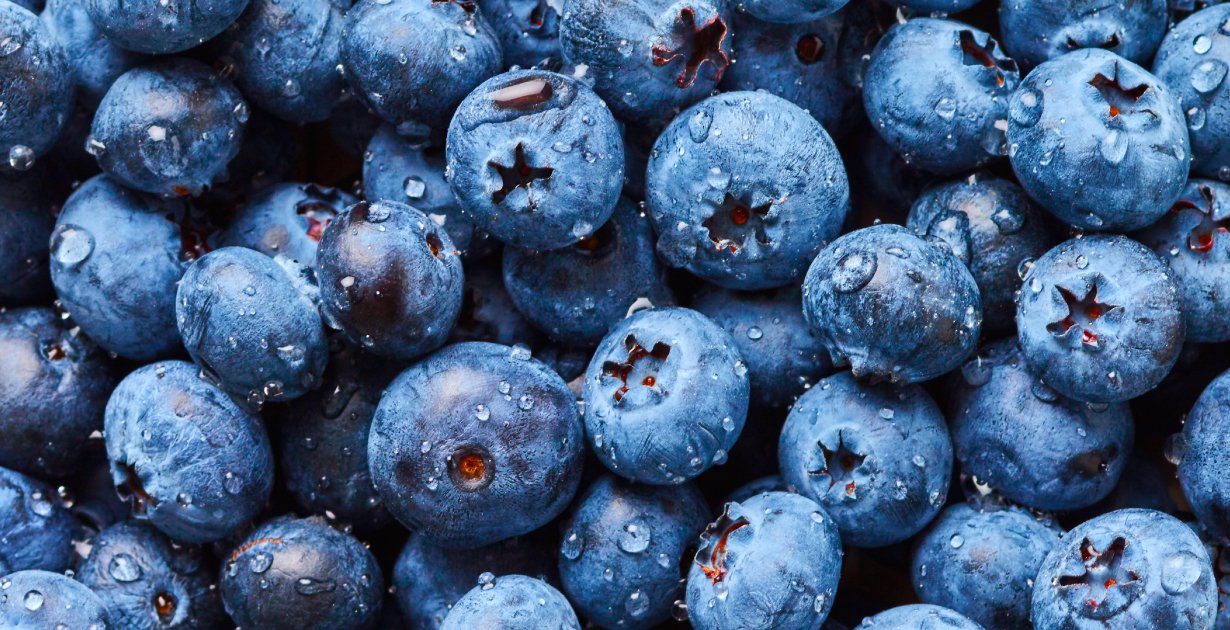 frozen blueberry treats miramar