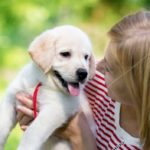 Talk Puppy To Me