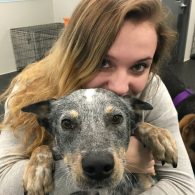 Alyssa with Chief the Australian Cattledog