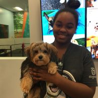 Michayla with Jazzy the Yorkshire Terrier