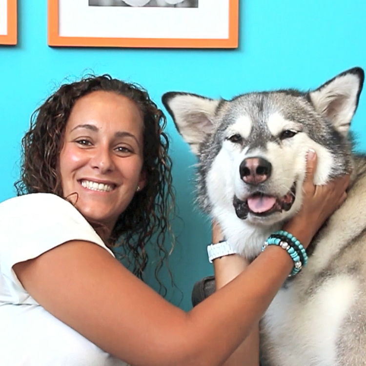 Jen Santoli, Franchisee