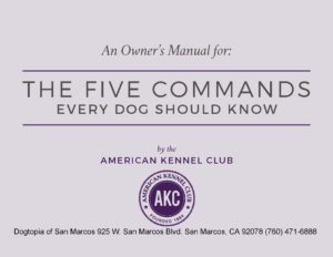 Puppy Owners Manual
