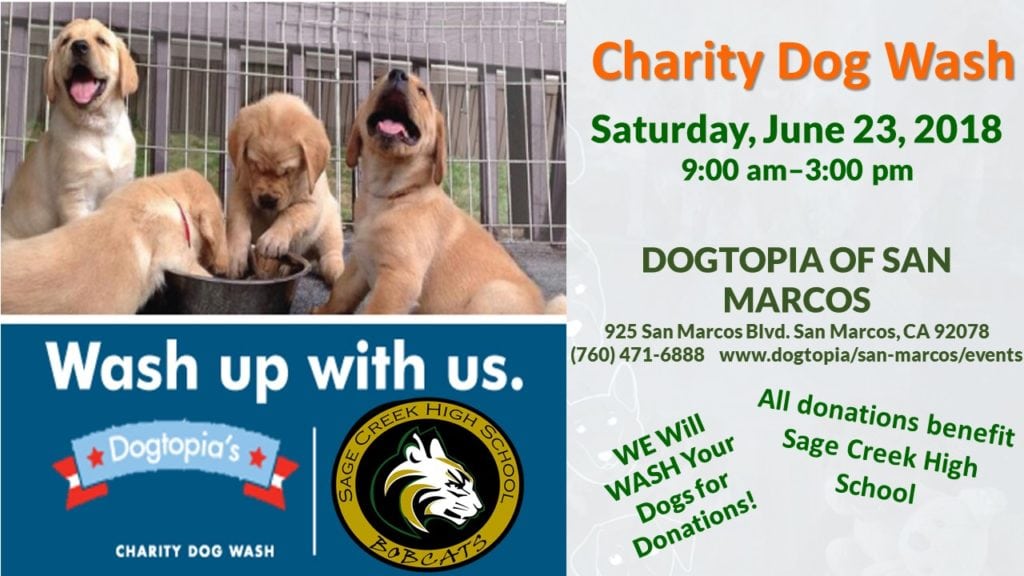We will wash your pup