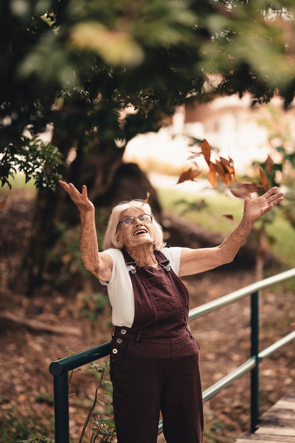 grandma elder happy nature