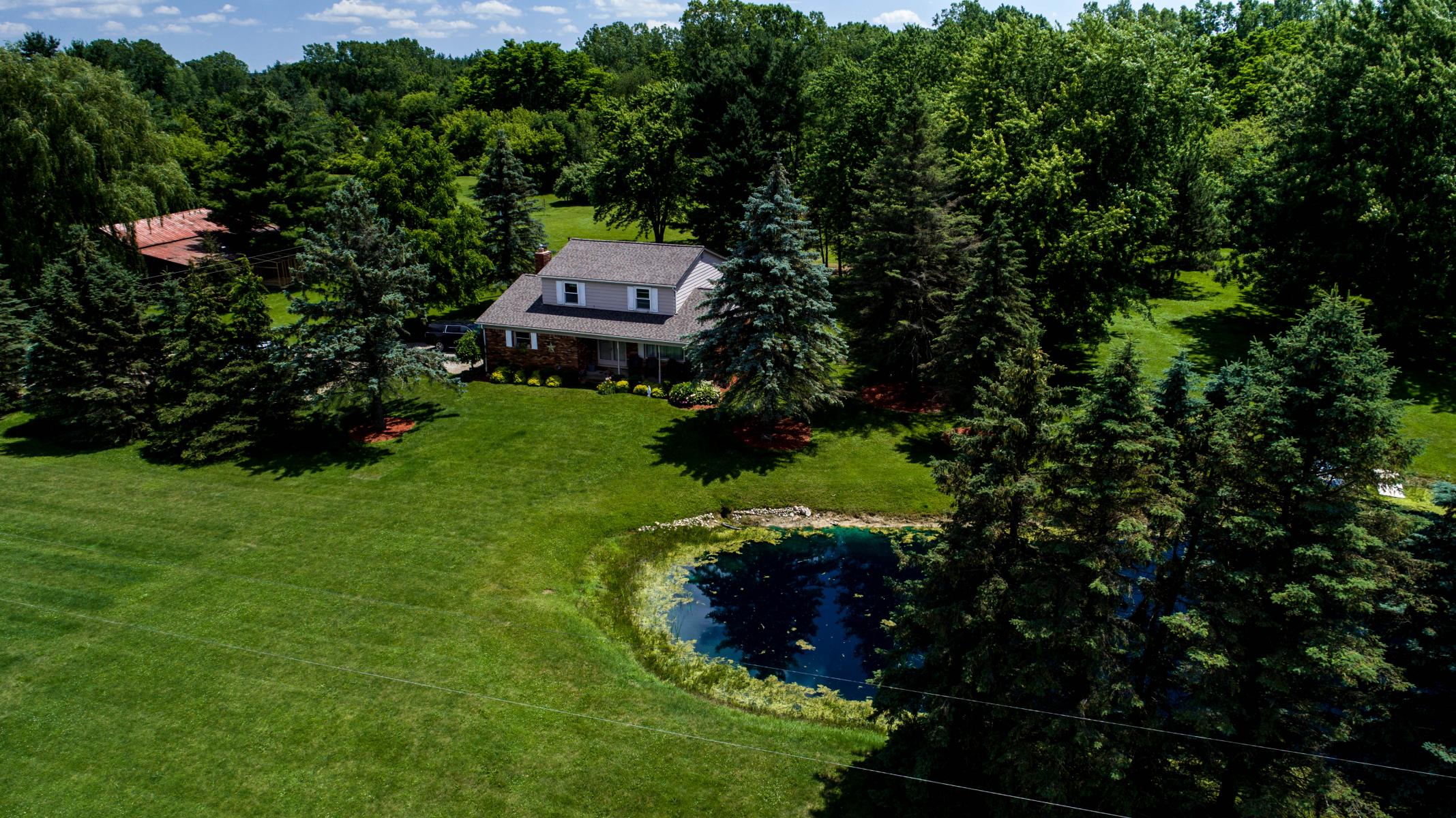 Almont MI Drone Photography