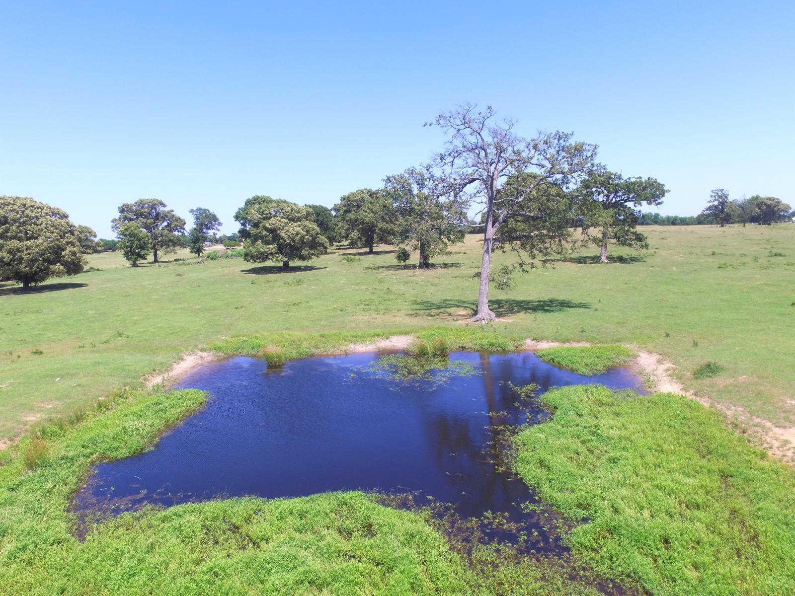 Ben Wheeler TX Drone Photography