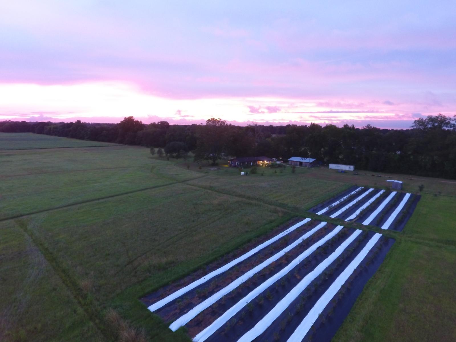 Carencro LA Drone Photography