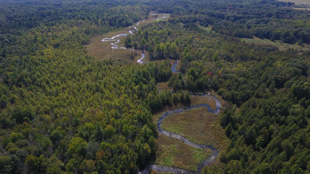 Constantine MI Drone Photography