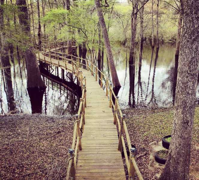 Fort White FL Drone Photography