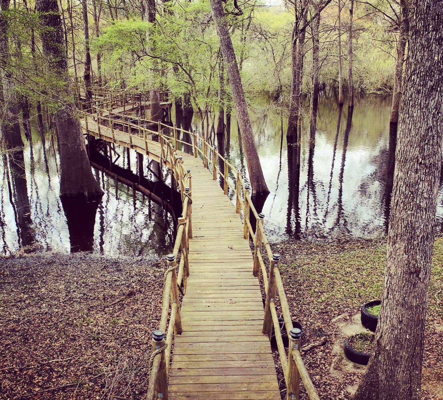 Fort White FL Drone Photography